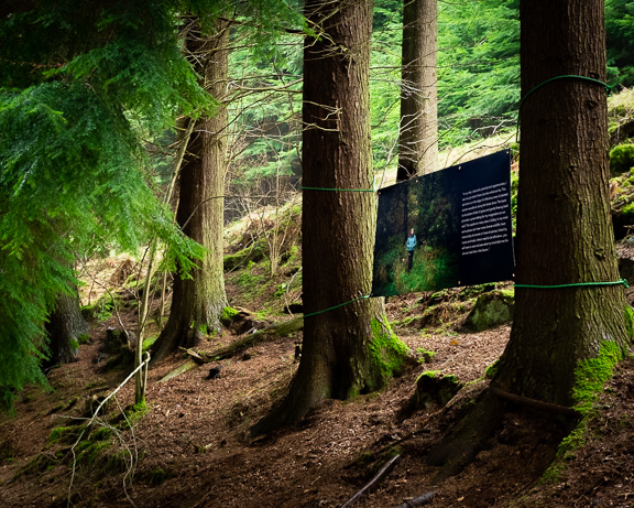 JohnHarrisonPortfolioSeries2021-51